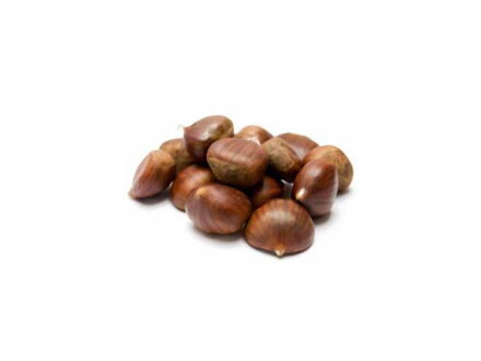 Gaštan jedlý castanea sativa Soutovello