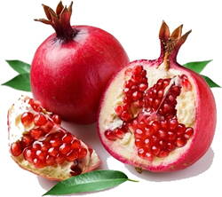 Punica Granatum Red Horse granátové jablko 120/140